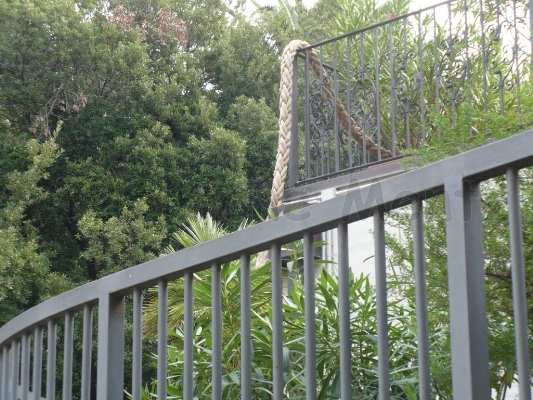 Images/Rapunzel.jpg